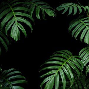 Meet your Posher, Jeremy